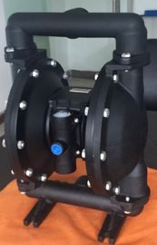 Cast Iron Air Driven Double Diaphragm Pump Dual Jbsl Diaphragms
