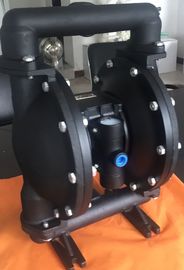 Cast Iron Air Driven Double Diaphragm Pump Dual Jbsl Diaphragms