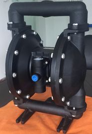 Cast Iron Air Driven Double Diaphragm Pump Dual Jbsl Diaphragms