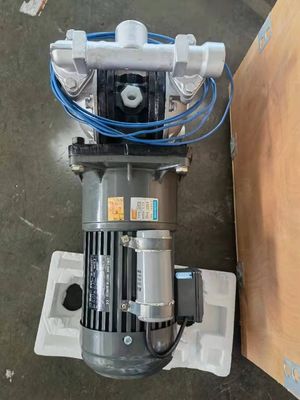 6 Bar 56L/M Electric Operated Double Diaphragm Pump